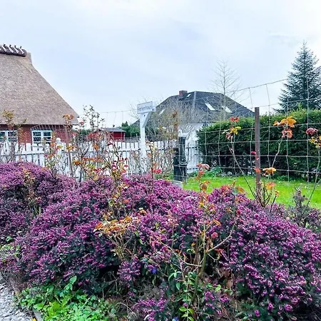 펜션 Flens- Foerdehaus On The Baltic Sea 스타인베르크